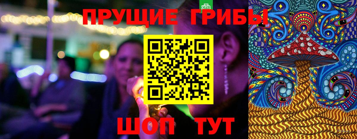 Псилоцибиновые грибы GOLDEN TEACHER Тайшет