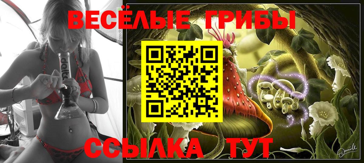Псилоцибиновые грибы Psilocybe  Псилоцибиновые грибы ЛСД  Вход с VPN  Тайшет 